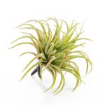 Umělá tillandsia rubra PENNY, se zápichem, zeleno-červená, 12cm, Ø10cm