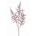 Umělá větev Asparagus acutifolius HANS, tmavě červená, 70cm