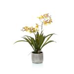 Umělecká orchidej oncidium COLUNGA v keramickém květináči, žlutooranžová, 45 cm