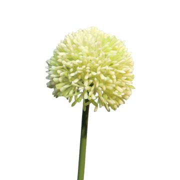 Umělá květina allium BAILIN, krémově zelená, 40cm