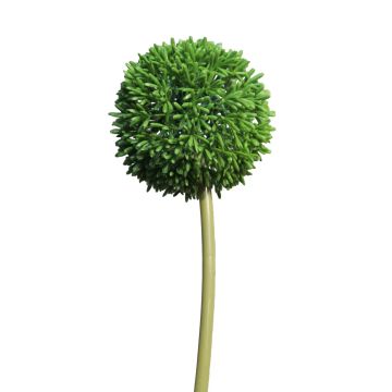 Umělá květina allium BAILIN, zelená, 65cm