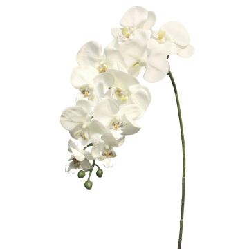 Dekorační větev orchideje phalaenopsis JUANRU, bílá, 100cm