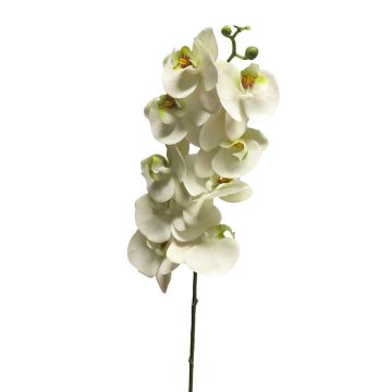 Umělá větvička orchideje Phalaenopsis SONGYA, bílá, 105cm