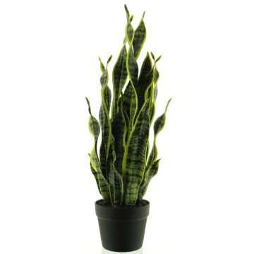 Umělý sukulent sansevieria ANQING v dekorativním květináči, zelenožlutý, 70cm