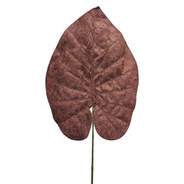 Dekorační list Philodendron Scandens AOSHEN, hnědý, 70cm