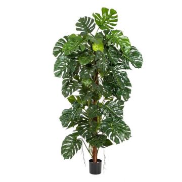 Umělý filodendron monstera deliciosa MEBSUTA, 160cm