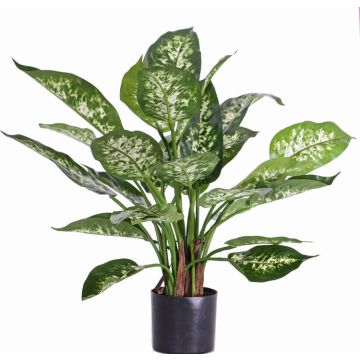 Umělá dieffenbachia DILLA, zeleno-bílá, 50cm