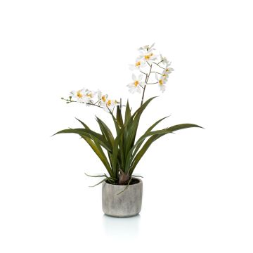 Umělecká orchidej oncidium COLUNGA v keramickém květináči, bílá, 45 cm