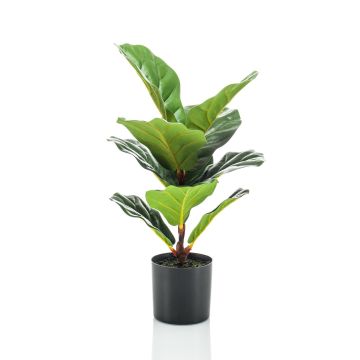 Umělý Ficus lyrata EMILIANA, zelený, 55cm