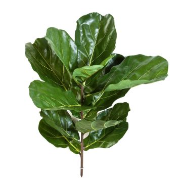 Umělý ficus lyrata ATIKA na zápichu, zelený, 75cm